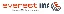 EverestIMS Technologies IPO logo