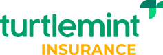 Turtlemint Fintech IPO logo